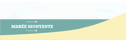 Une histoire de marée
