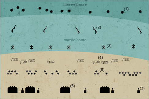 Une multitude d'obstacles