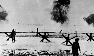 Pourquoi le hérisson tchèque ?