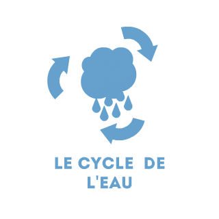 activité 3