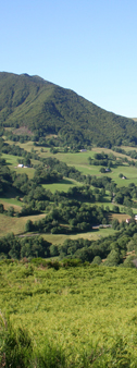 Monts du Cantal