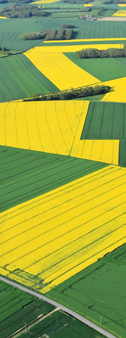 Plaines agricoles de la Beauce