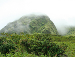 Montagne Pelée